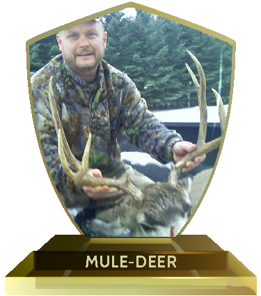 Mule-Deer Hunt